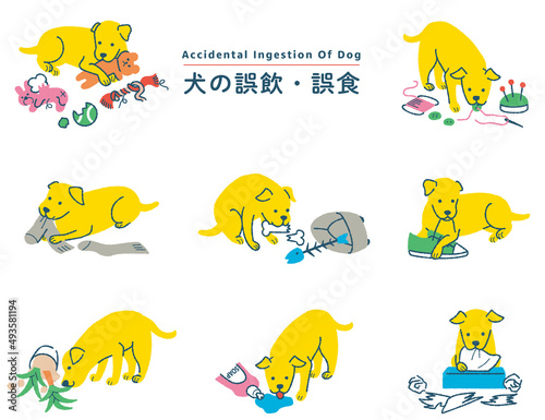 犬の誤飲誤食　イラストセット
