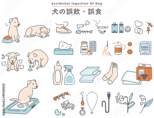 犬の誤飲誤食　イラストセット