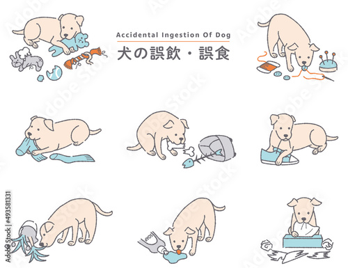 犬の誤飲誤食　イラストセット