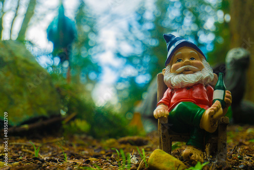 Gnome Chilling in front of Natural Background