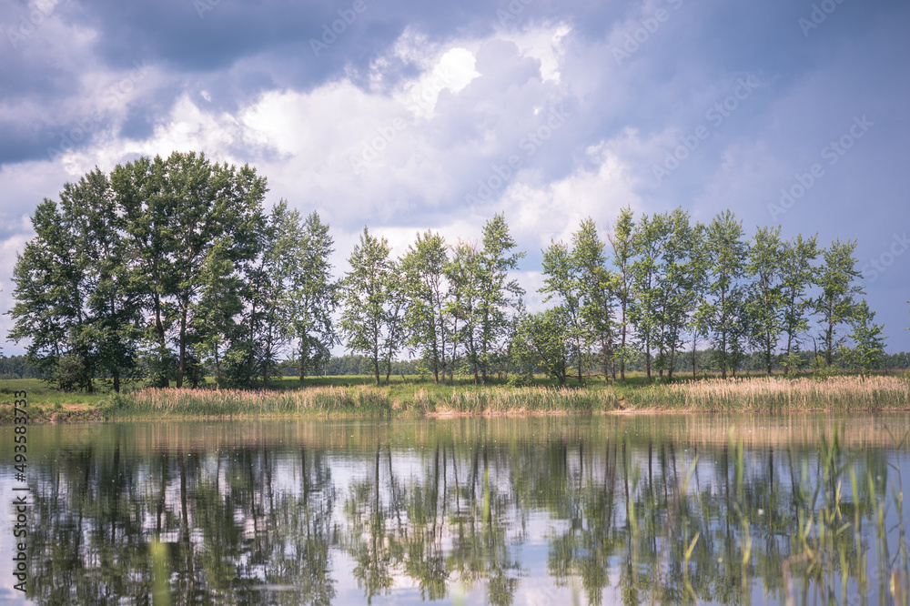 Spring landscape of the lake with trees in bright greenery and a picturesque sky in cumulus clouds. Background