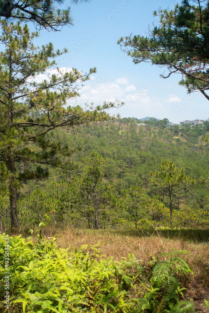 Amazing landscape of Da Lat city, Vietnam