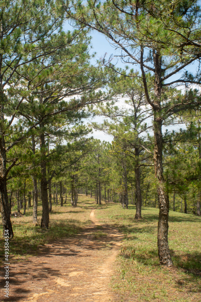 Amazing landscape of Da Lat city, Vietnam Amazing landscape of Da Lat city, Vietnam