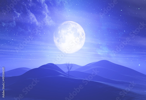 Fotografie, Obraz 3D moonlit landscape against starry sky