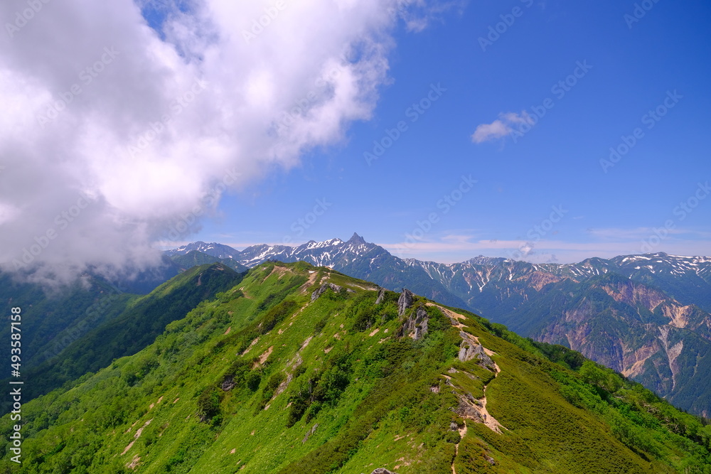 Fototapeta premium 表銀座