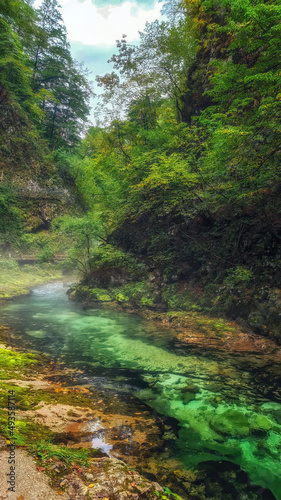 Vintgar gorge in Slovenia, Triglav national park