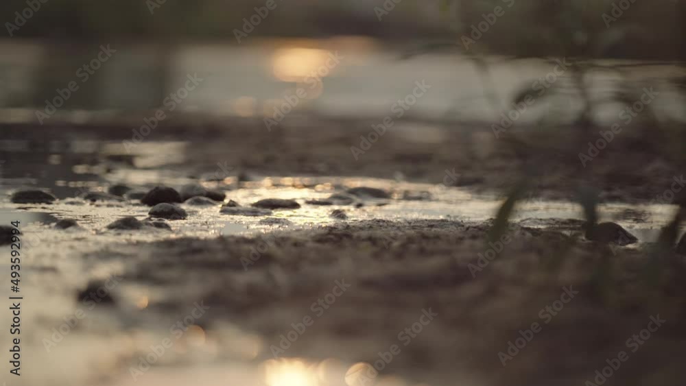 After a brief rain, the sunset reflected in a puddle (1) After a brief rain, the sunset reflected in a puddle (1)