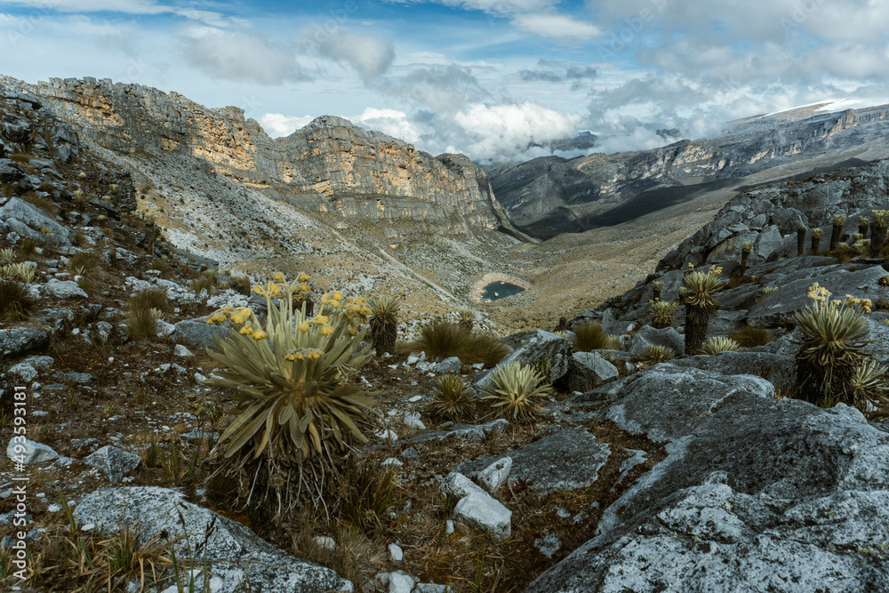 Colombian Andes, Cocuy National Park - Paramo ecosystem