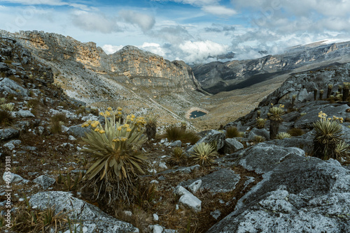 Obraz na płótnie Colombian Andes, Cocuy National Park - Paramo ecosystem w salonie