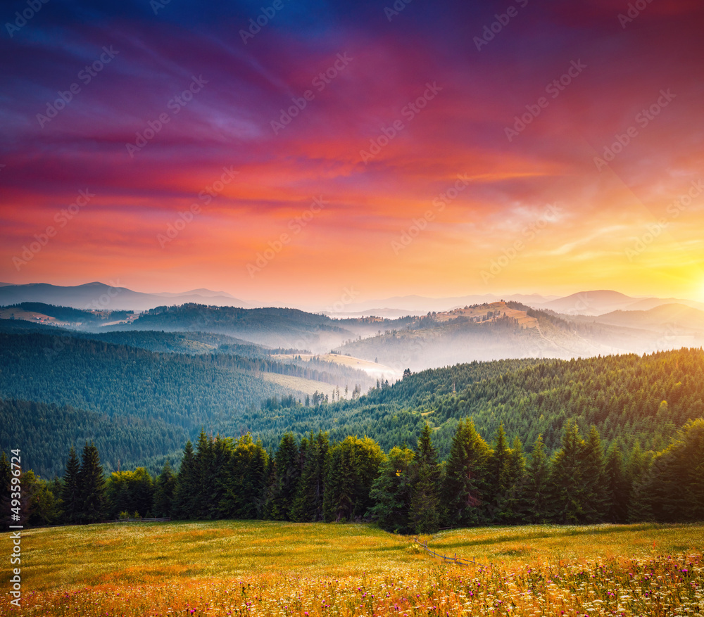 Spectacular summer sunset scene in the mountains with perfect sky. Carpathian mountains, Ukraine. Spectacular summer sunset scene in the mountains with perfect sky. Carpathian mountains, Ukraine.