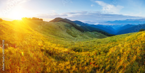 Morning sunlight illuminates the mountain ranges. Carpathian mountains  Ukraine.