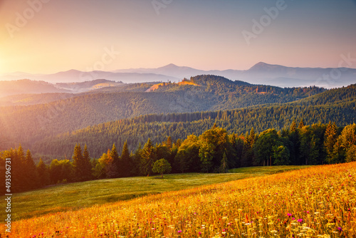 Morning sunlight illuminates the mountain ranges. Carpathian mountains, Ukraine.