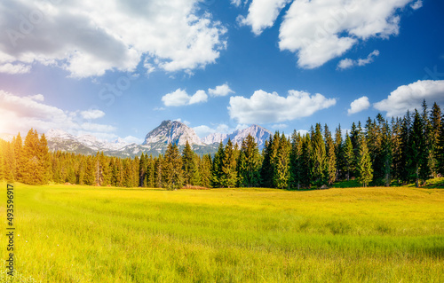 Awesome mountain valley on a sunny summer day. Location Durmitor National park  Montenegro.