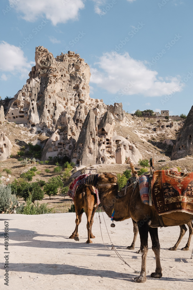 Naklejka premium Cappadocia