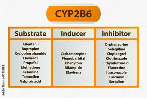 CYP2B6 Cytochrome p450 enzyme pharmaceutical substrates, inhibitors and inducers examples, for pharmacology, medicine, biochemistry education. photo