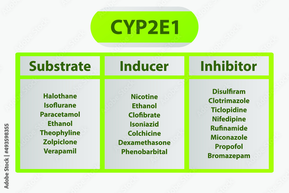 Cyp2e1 Cytochrome P450 Enzyme Pharmaceutical Substrates Inhibitors And Inducers Examples For