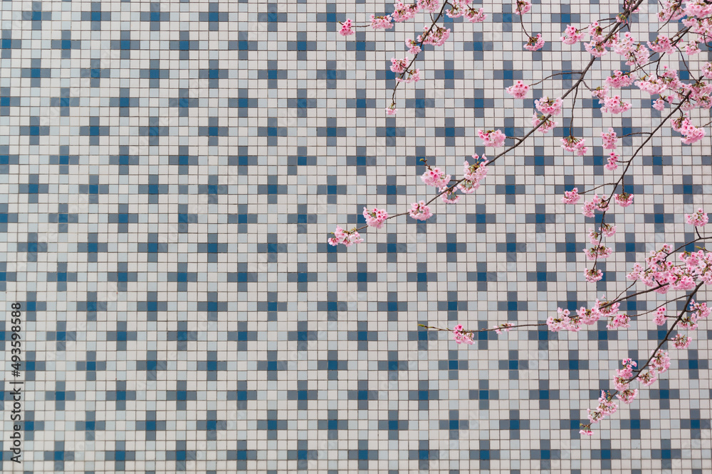 Fototapeta premium 桜の花とタイルのモザイク