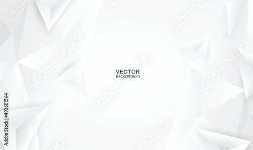 Abstract .Modern background. White triangle polygon background. vector.