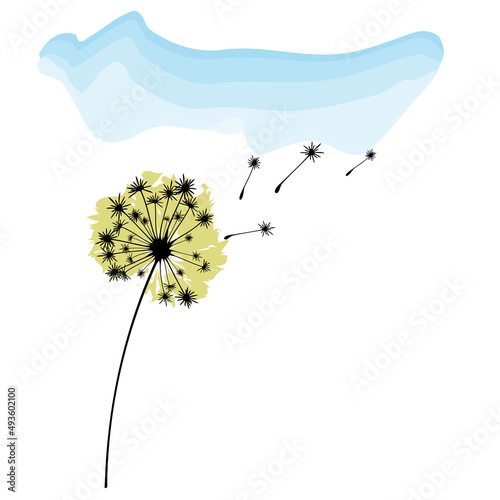 Vector illustration of dandelion time. White Beautiful Dandelion seeds blowing in the wind. The wind inflates a dandelion isolated in editable background.