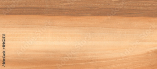 Wood texture background for display.