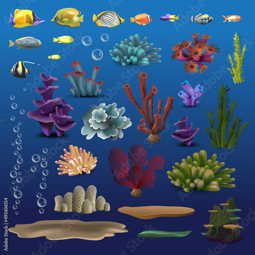 Coral and fishes. Underwater flora, fauna sea water seaweeds aquarium, kelp and corals. Ocean vector color set. Vector illustration