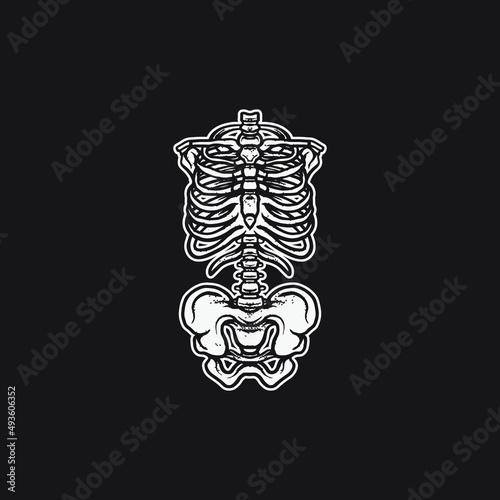 Body human skeleton isolaten in black background.