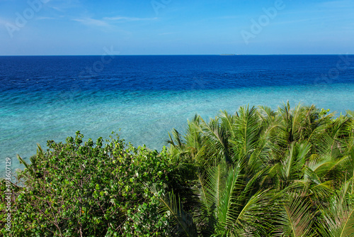 Maldive Islands sea reef and green palm foliage view