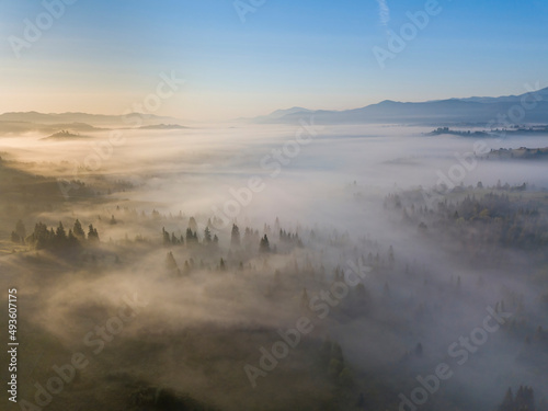 Morning fog in the Ukrainian Carpathians. Aerial drone view. © Sergey