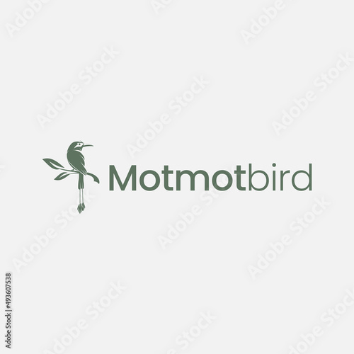 MOTMOT BIRD LOGO DESIGN VECTOR