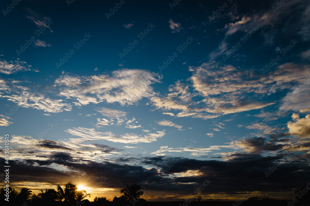 Beautiful sunset clouds. Vacation landscape with palm trees.