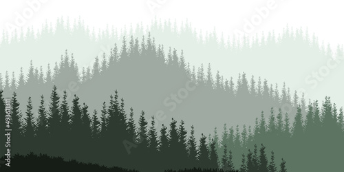 Forest background. Nature landscape with mountains.