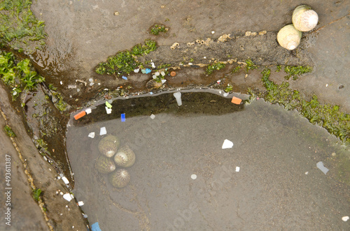 Microplastics in a coastal puddle. Gran Canaria. Canary Islands. Spain. photo