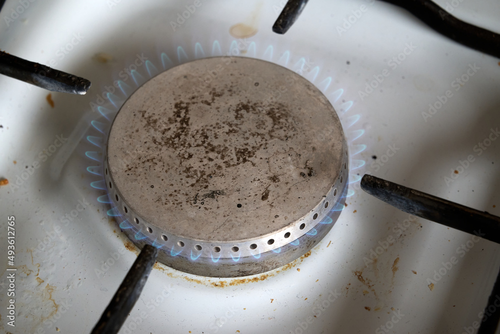 burner with a flame of burning gas in the gas cooker in the apartment