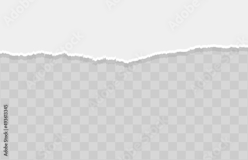 Paper texture with ripped edges and shadow. Horizontal banner template. Vector