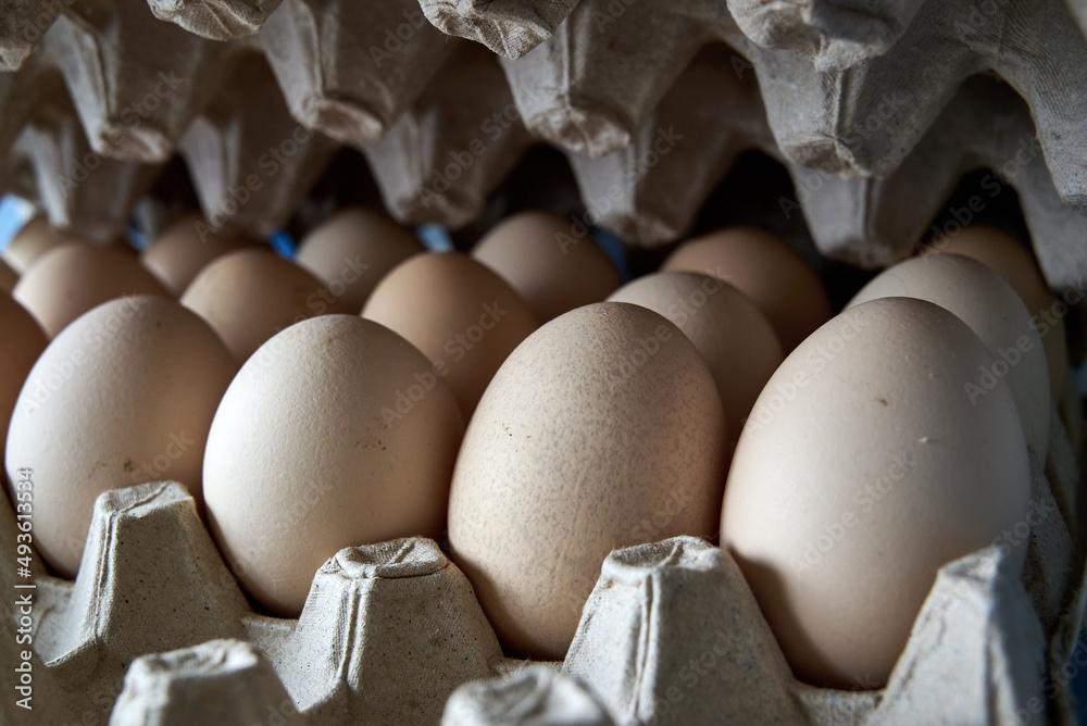 eggs in a cardboard box in the kitchen in the daylight