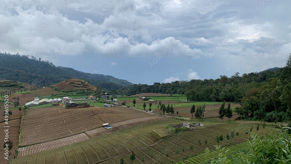 Fototapeta premium Landscape of field terraces in rural countryside 