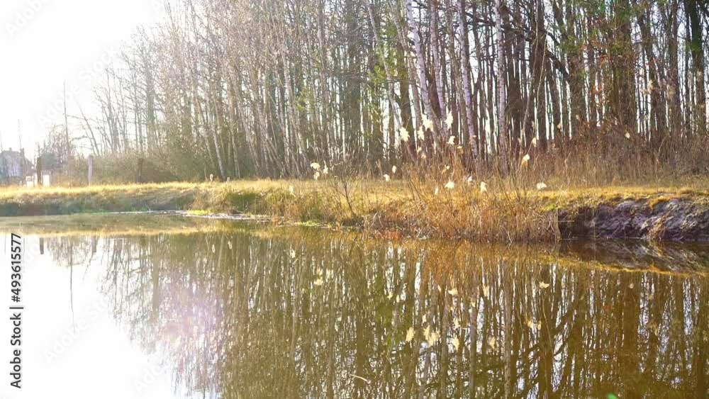 Spring landscape. Forest and lake in spring. The awakening of nature after winter. Relaxation and peace. Rest outside the city. Spring landscape. Forest and lake in spring. The awakening of nature after winter. Relaxation and peace. Rest outside the city.