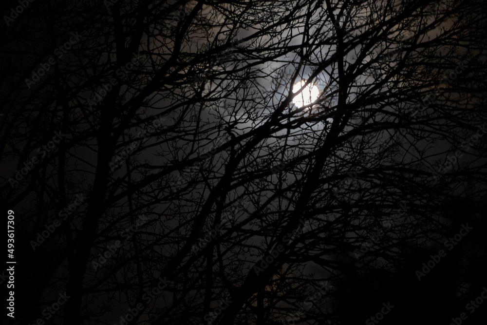 Spooky Full Moon