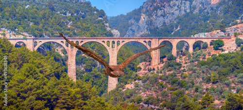 Red-tailed Hawk flying over the mountains with sky background - Varda railway bridge, Adana Turkey