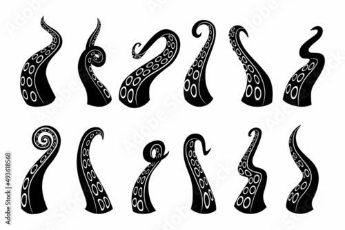 Black icons. Cartoon octopus squid and cuttlefish underwater animals arms. Vector silhouette logo