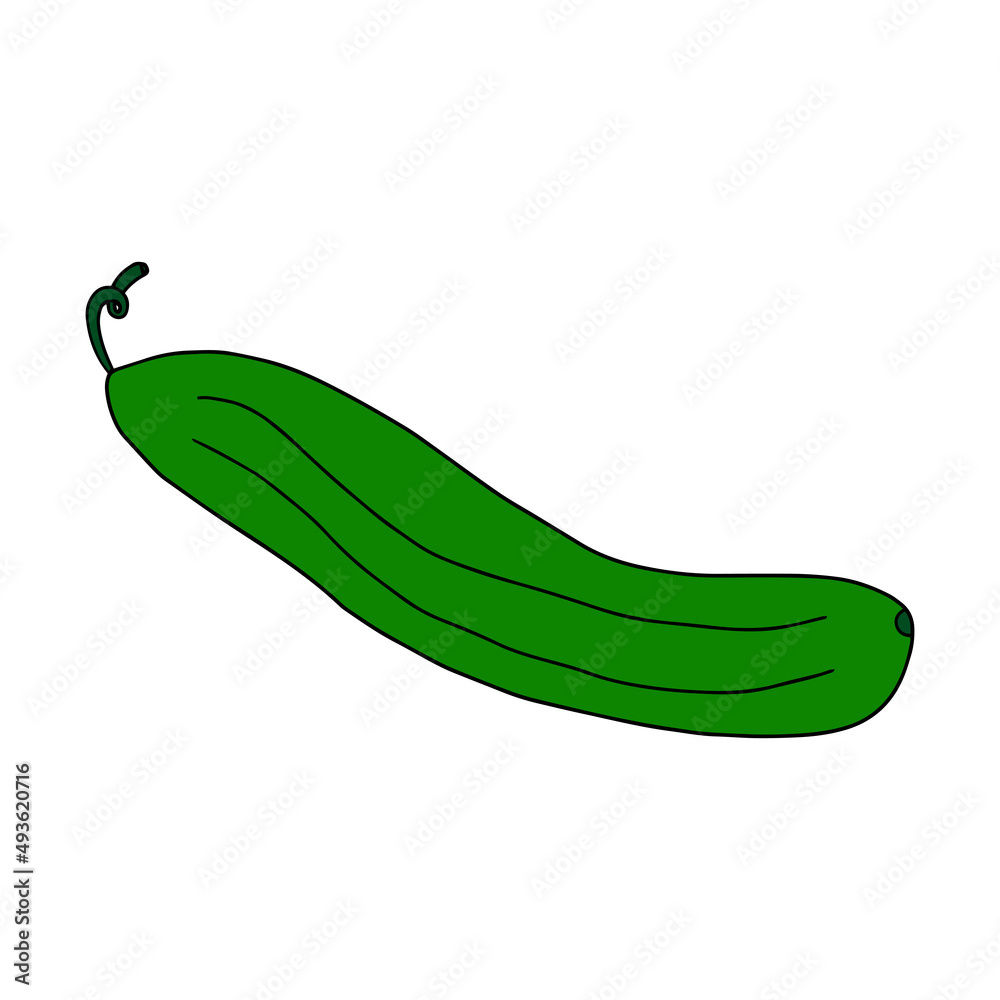 Cartoon doodle cucumber isolated on white background.