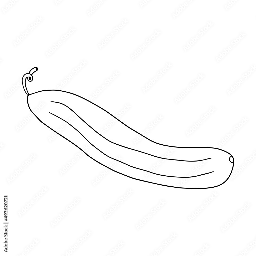 Cartoon doodle cucumber isolated on white background.