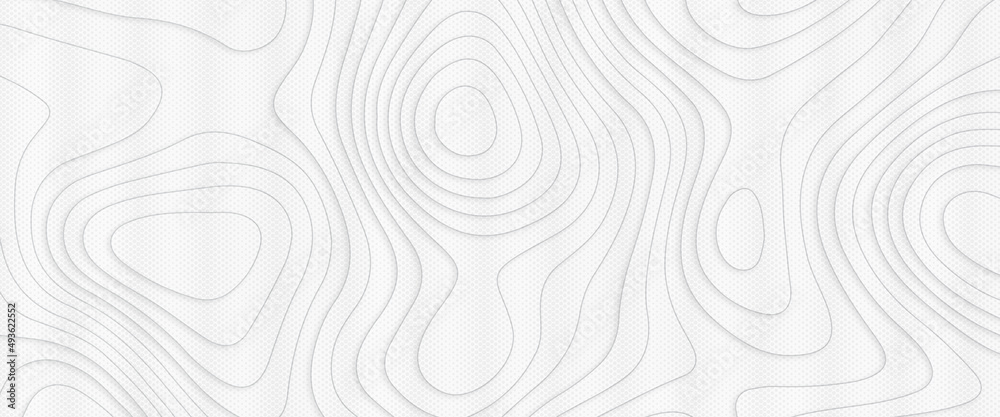 Light topographic line contour map background, geographic World Topography map grid abstract vector illustration. Topo map with elevation, topographic map. Geographic mountain relief. Abstract lines.