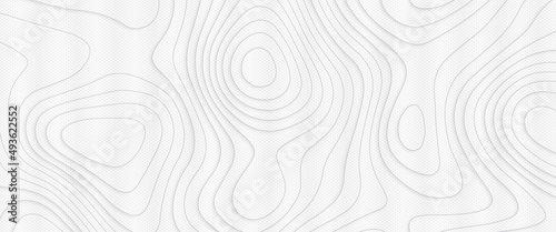 Light topographic line contour map background, geographic World Topography map grid abstract vector illustration. Topo map with elevation, topographic map. Geographic mountain relief. Abstract lines.