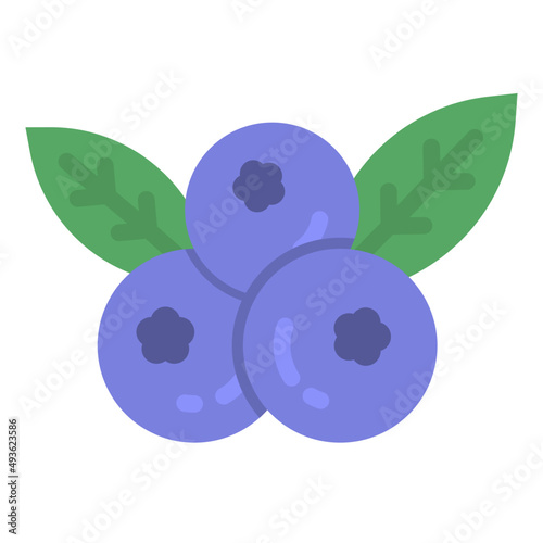 blueberry flat icon