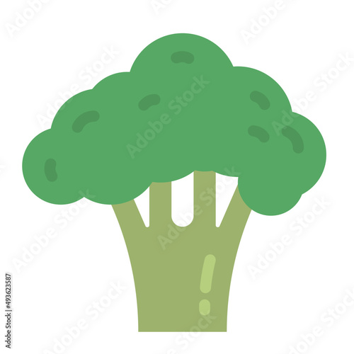 broccoli flat icon