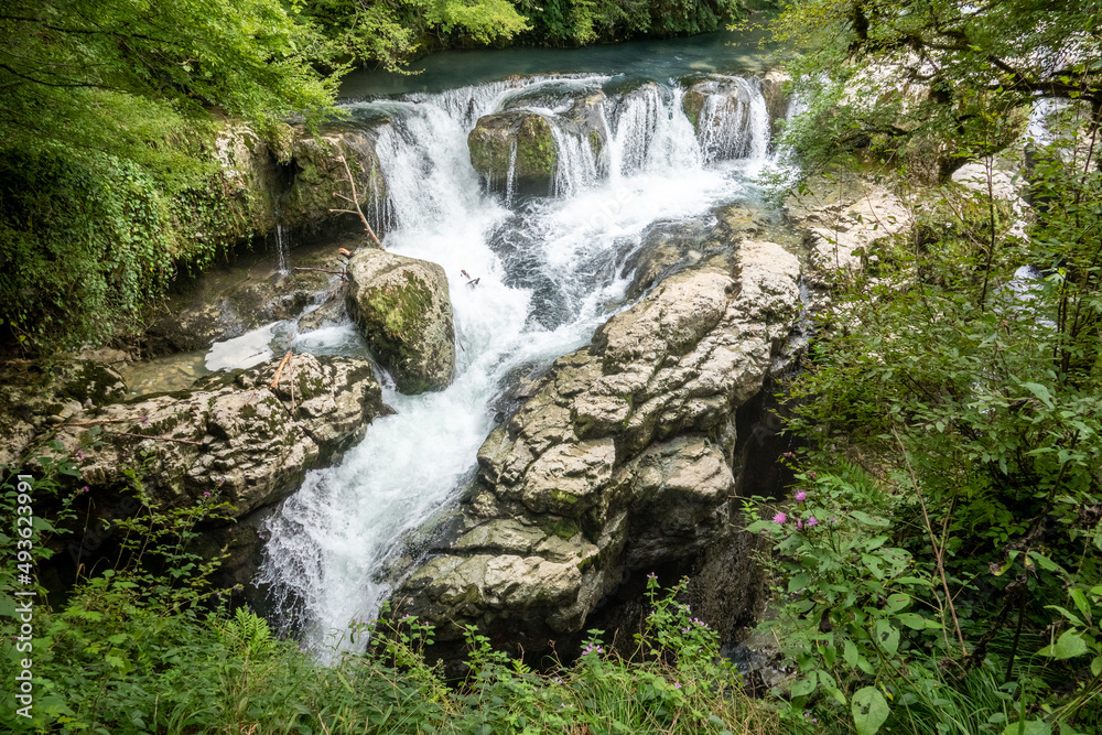Obraz premium Martvili canyon in Georgia. Beautiful natural canyon with mountain river.