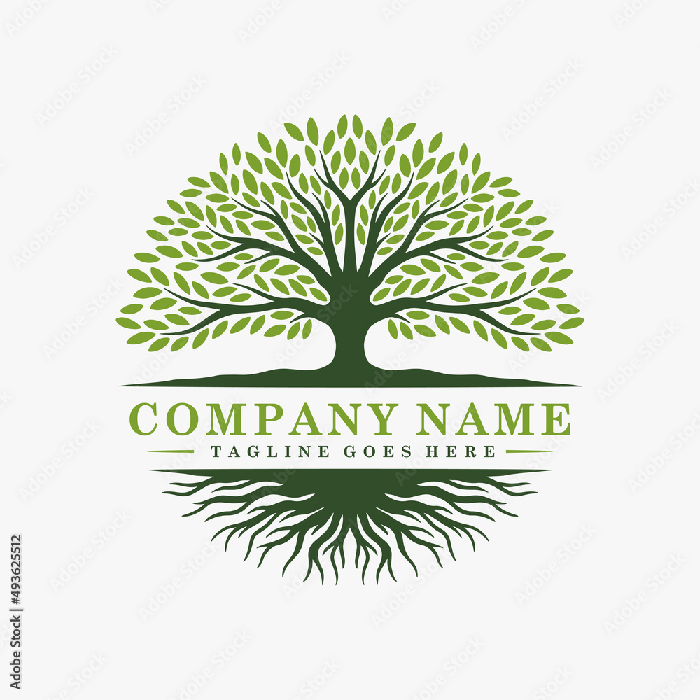 Obraz premium Abstract tree logo and roots design illustration