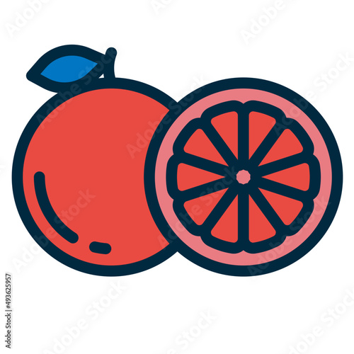 grapefruite two tone icon photo