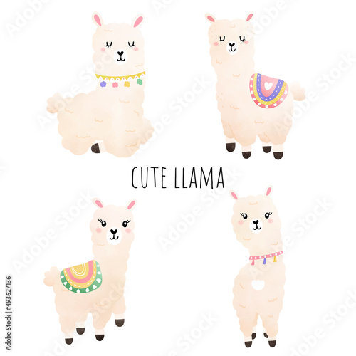 Cute llama and cactus illustration, Vector